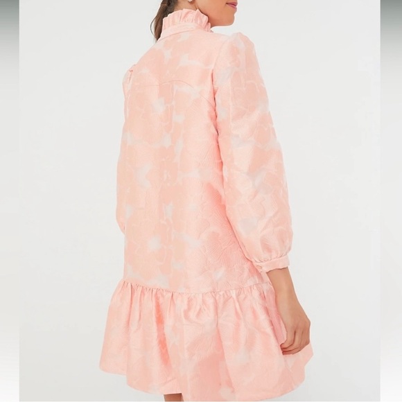 Tuckernuck Palmerston Mini Dress-Bellini Fil Coupe-Pink-Womens M & L-NEW-Wedding - Picture 3 of 15